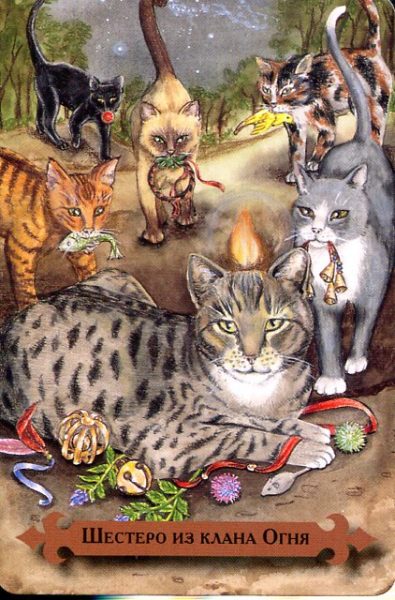 Таро мистических кошек (книга + 78 карт) %% 9 жезлов