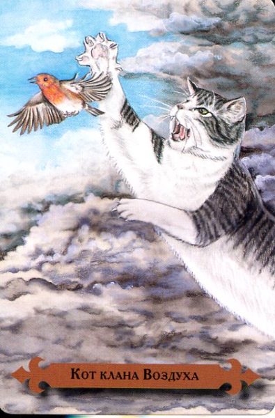 Таро мистических кошек (книга + 78 карт) %% Паж жезлов