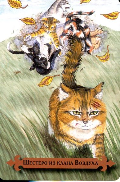 Таро мистических кошек (книга + 78 карт) %% Туз мечей