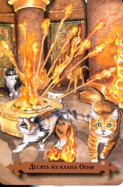 Таро мистических кошек (книга + 78 карт) %% 5 мечей