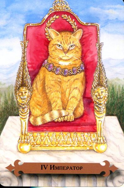 Таро мистических кошек (книга + 78 карт) %% Паж мечей