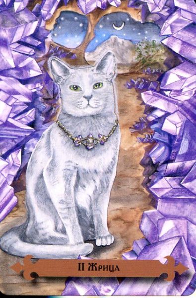 Таро мистических кошек (книга + 78 карт) %% 3 пентаклей