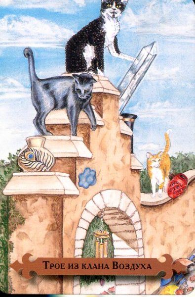 Таро мистических кошек (книга + 78 карт) %% Рыцарь пентаклей