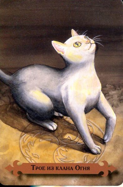 Таро мистических кошек (книга + 78 карт) %% Король пентаклей