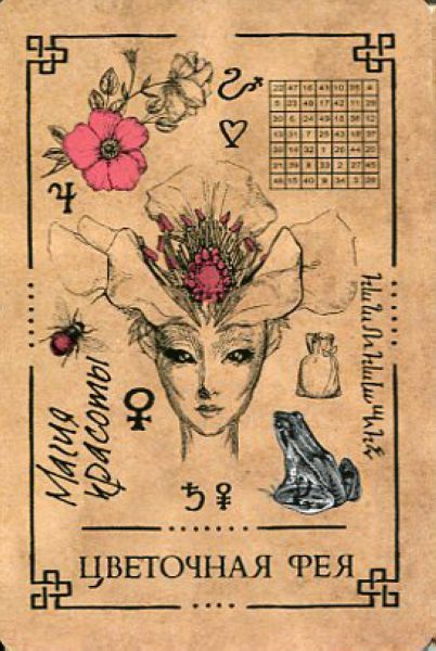 Викканский Оракул Теней. Заклинания Луны, Ритуалы Солнца брошюра + 48 карт в подарочной упаковке %% 9