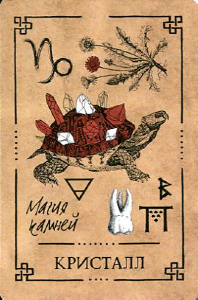 Викканский Оракул Теней. Заклинания Луны, Ритуалы Солнца брошюра + 48 карт в подарочной упаковке %% 20
