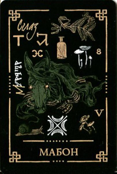 Викканский Оракул Теней. Заклинания Луны, Ритуалы Солнца брошюра + 48 карт в подарочной упаковке %% 23