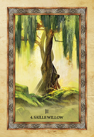 Celtic Tree Oracle. Оракул Кельтское дерево %% Иллюстрация 2