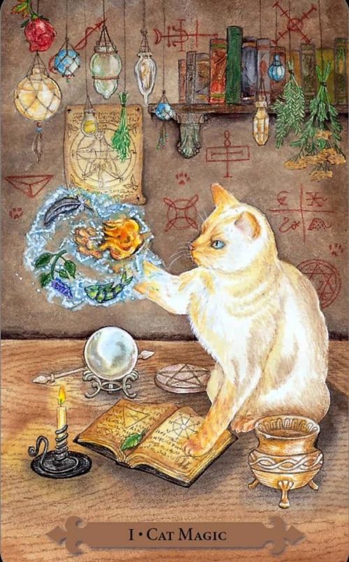Mystical Cats Tarot. Таро Мистических Кошек %% Иллюстрация 6