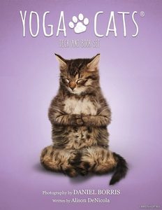 Yoga Cats Deck Book Set Йога Кошек