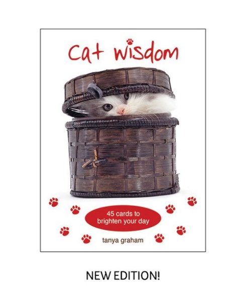 Cat Wisdom. Карты Кошачья Мудрость %% Обложка