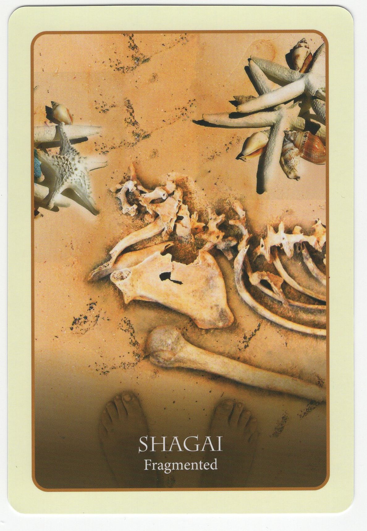 Oracle Cards Divination of the Ancients (Оракул Гадание Древних) %% Изображение 3
