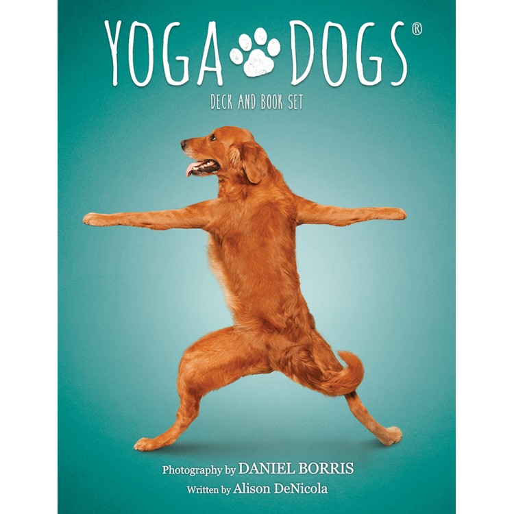 Yoga Dogs Challenges cards. Карты Йога собак %% обложка