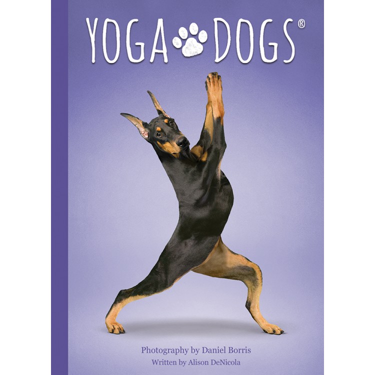 Yoga Dogs Challenges cards. Карты Йога собак %% карта 2