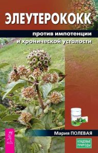 

Элеутерококк против импотенции и хронической усталости