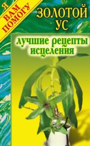 

Золотой ус - лучшие рецепты исцеления