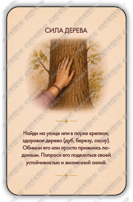 Колода Ритуалы на каждый день %% 