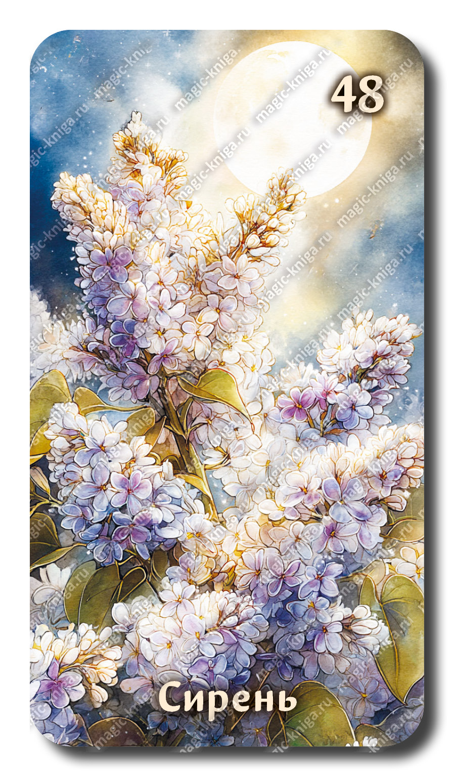 Оракул Огни Бельтайна %% 